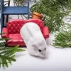 Chuột Hamster Winter White Tuyệt Đẹp [✔ Màu Mới 2024]